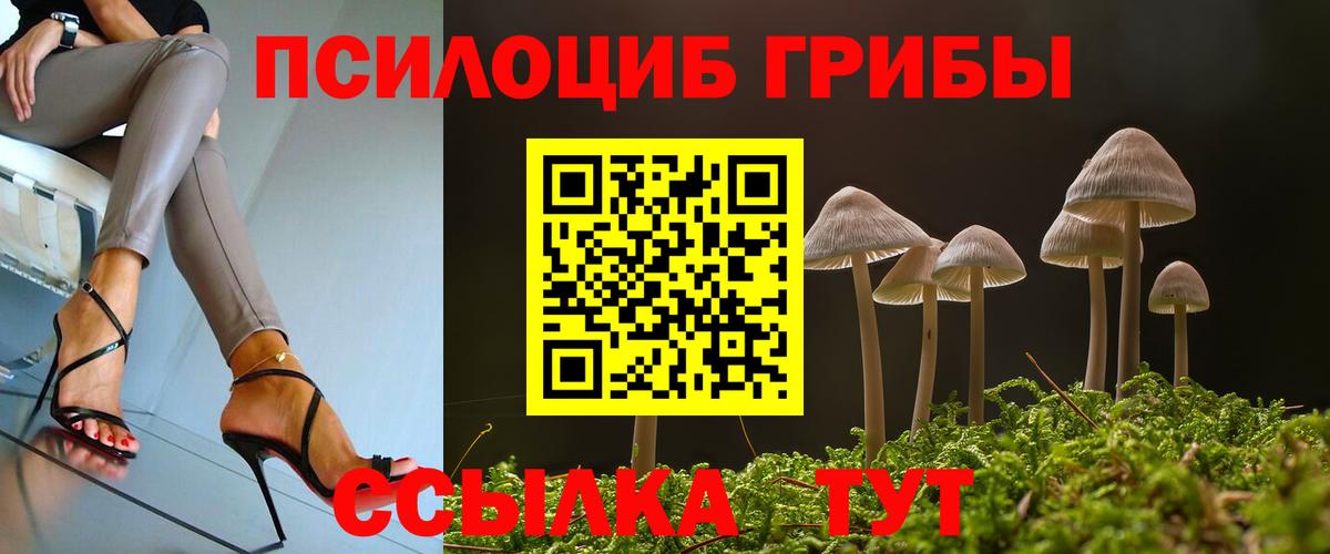Славянск-на-Кубани  Галлюциногенные грибы Cubensis  Вход с VPN 